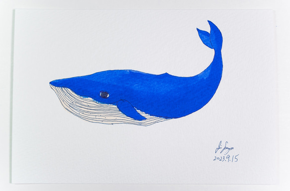 クジラのイラスト 03[ハガキサイズ原画] イラスト 染谷仁 通販