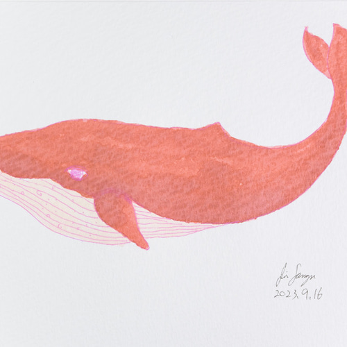 クジラのイラスト 05[ハガキサイズ原画] イラスト 染谷仁 通販