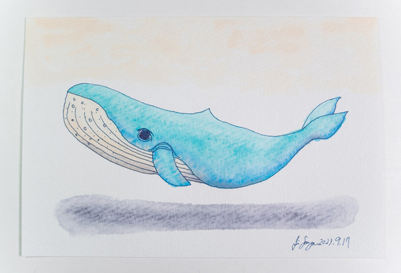 クジラのイラスト 10[ハガキサイズ原画] イラスト 染谷仁 通販