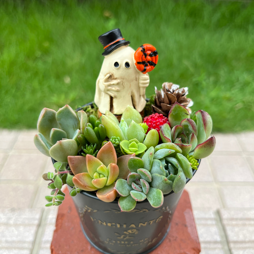 3号素焼き鉢セット☆リメイク鉢☆リメ鉢多肉リメイク缶リメ缶寄せ植え