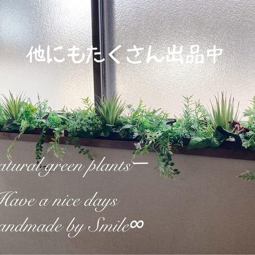 光触媒 日光や室内光が当たるたびに菌を分解 消臭 抗菌 抗ウイルス 除