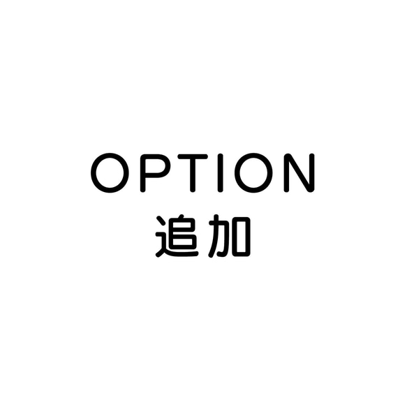 購入後OPTION追加・変更 1枚目の画像