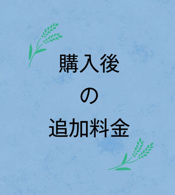 ご購入後の追加料金について 1枚目の画像