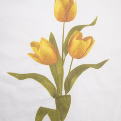 Yellow Tulip Big T-shirts (white) 半袖Ｔシャツ ブルー 青 カジュアル 6枚目の画像