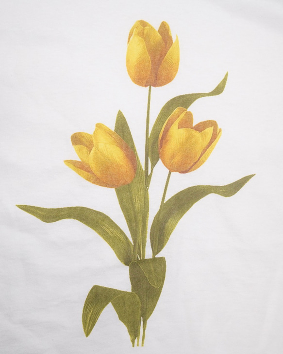 Yellow Tulip Big T-shirts (white) 半袖Ｔシャツ ブルー 青 カジュアル 6枚目の画像