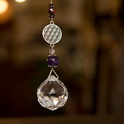 7868e7f6909e484f582c6c0b4630ff