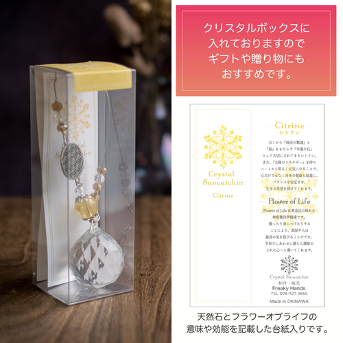 【ヒーリングアート】チャクラカラーフラワーオブライフ F3号 特別価格 フラワーオブライフエナジーカードのおすすめ人気商品一覧 通販