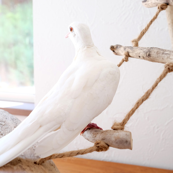 流木バードジム M ｜鳥さんの止まり木とはしご 6枚目の画像