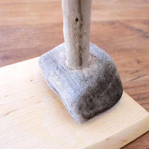 流木バードジム M ｜鳥さんの止まり木とはしご 無料 小型