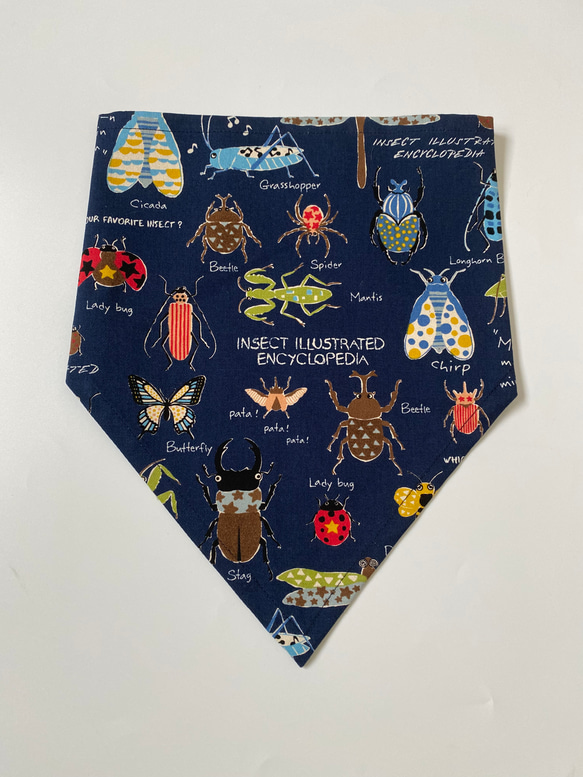 昆虫柄☆こどもエプロン100〜110サイズ、三角巾、巾着の3点セット 5枚目の画像