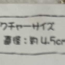 ミニアンティーク写真立て 2枚目の画像