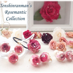 本物の薔薇　ローズメリアのヘアゴム　୨୧ Tenshinranman’s Rosemantic ୨୧ 11枚目の画像