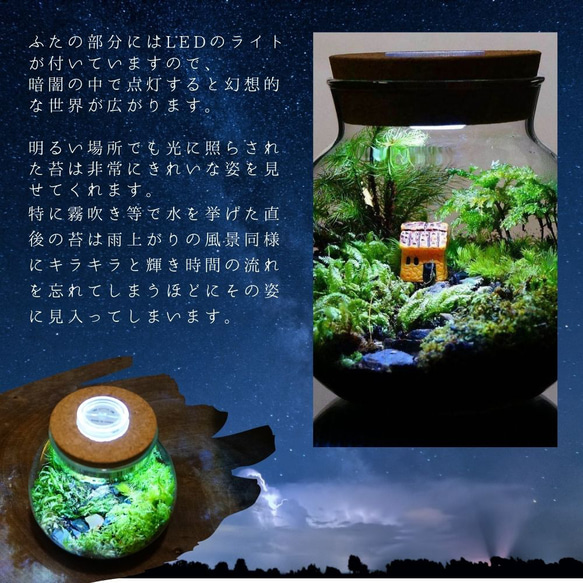 【完成品】LEDライト付 ボトルテラリウム 14cm 苔テラリウム 川が続く風景 8枚目の画像