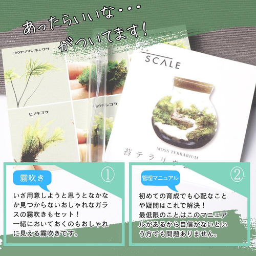 完成品】LEDライト付 ボトルテラリウム 10・13・16cm 苔テラリウム 川