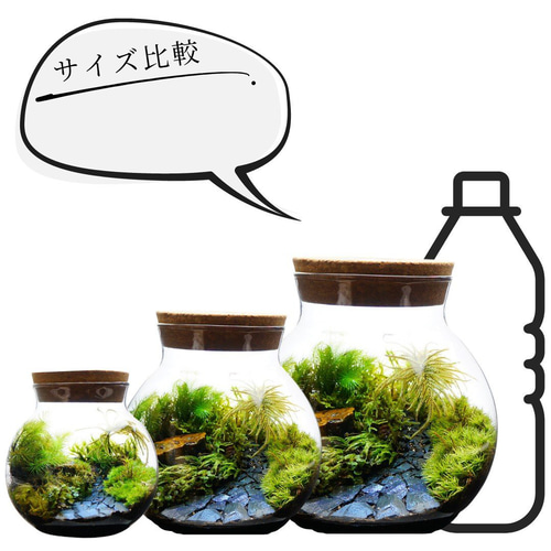 完成品】LEDライト付 ボトルテラリウム 10・13・16cm 苔テラリウム 川