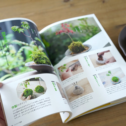 著書「魅せる苔テラリウムの作り方」（苔玉・苔盆栽・苔テラリウム・アクアテラリウムの作り方） 2枚目の画像