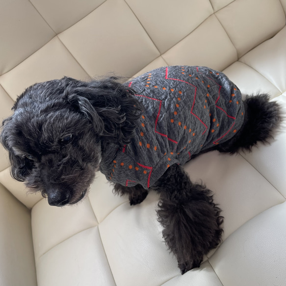 【Lサイズ追加】わんちゃん服　日本製　MLサイズドッグウェア　犬服　3カラー　　秋冬最適　ジグザグジャガード　 4枚目の画像