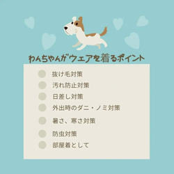 【Lサイズ追加】わんちゃん服　日本製　MLサイズドッグウェア　犬服　3カラー　　秋冬最適　ジグザグジャガード　 6枚目の画像
