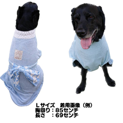 バスローブ　犬服　ペット服　大型犬　ハンドメイド　名入れ　わんこ服　 4枚目の画像