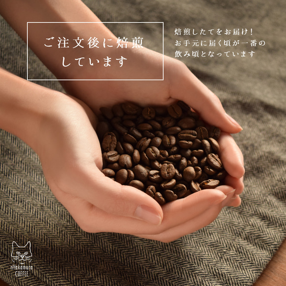 ハロウィン限定★猫のドリップコーヒーギフトBOX(ドリップバッグ5袋入り)【コーヒーの種類が選べます】自家焙煎コーヒー 10枚目の画像