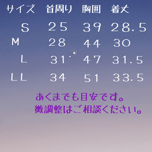 秋冬犬服☆くすみフラワーバルーンワンピ 4枚目の画像