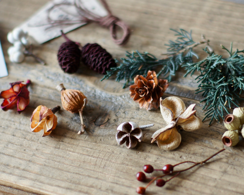 木ノ実のガーランド 秋を楽しむてづくりキット 木の実のガーランド ドライフラワー