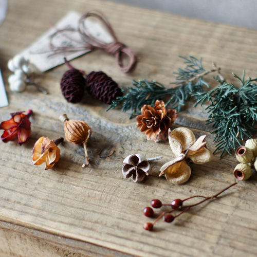 木の実のガーランド 秋を楽しむてづくりキット 木の実のガーランド ドライフラワー