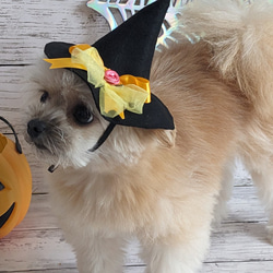　ハロウィン　犬・猫用ハット　（S）黄色リボン　とんがり帽子　小型犬　ハロウィンコスプレ 5枚目の画像