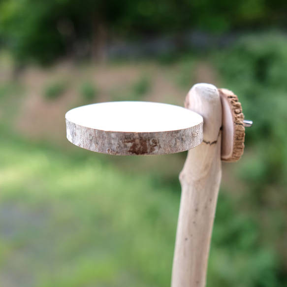 丸太のおやすみボード S｜白樺パーチ 4枚目の画像