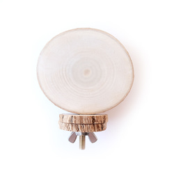 丸太のおやすみボード S｜白樺パーチ 1枚目の画像