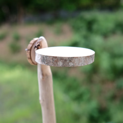 丸太のおやすみボード S｜白樺パーチ 5枚目の画像