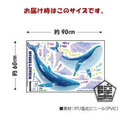 574 壁ステッカー ウォールステッカー 鯨 クジラ ホエール 動物 子供部屋 魚 海の中 ナガスクジラ ザトウクジラ 5枚目の画像