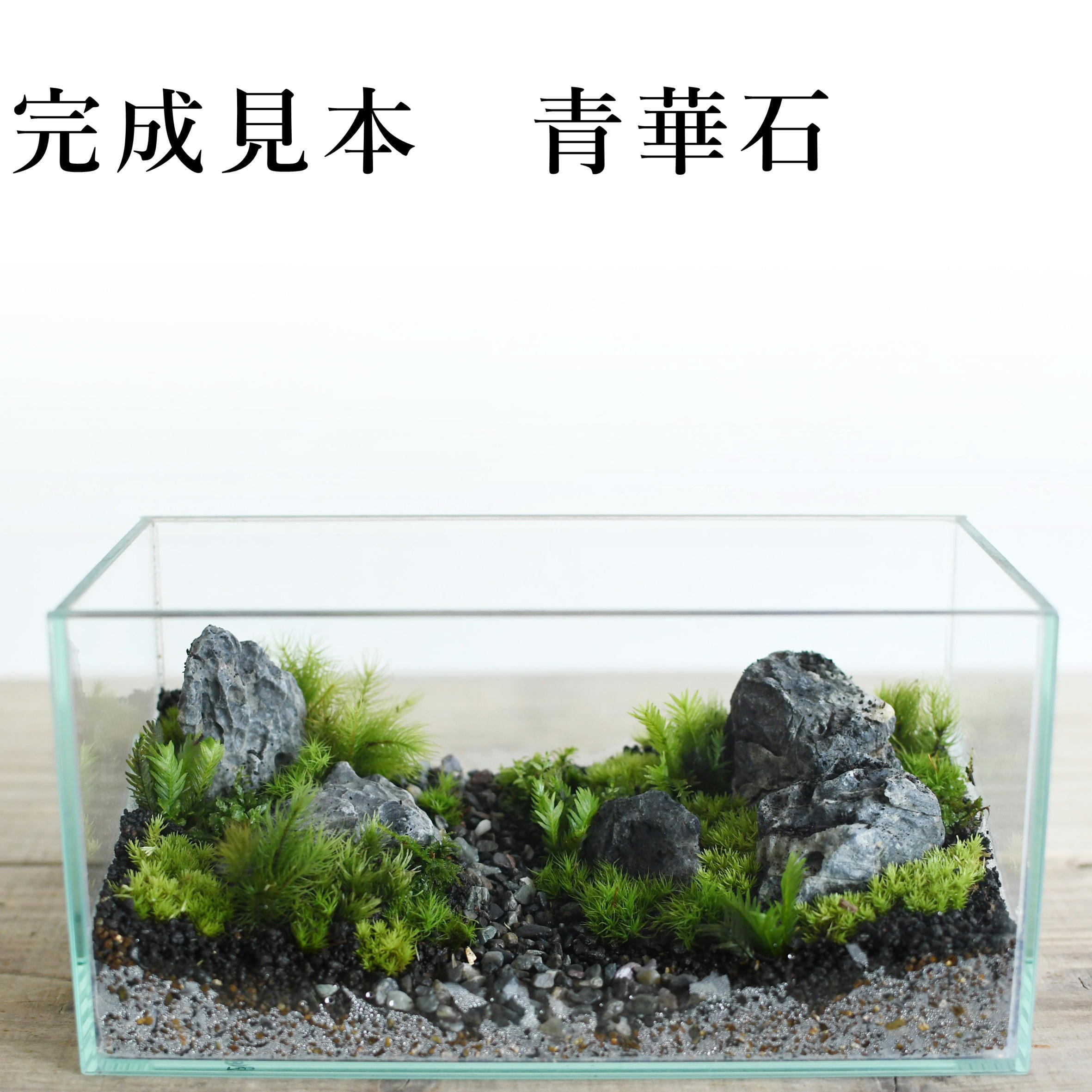 赤溶岩石　中粒400個　アクアリウム　テラリウム　コゲリウム 水草 ADA 赤溶岩石中粒400個アクアリウムテラリウムコゲリウム水草ろ材ADA