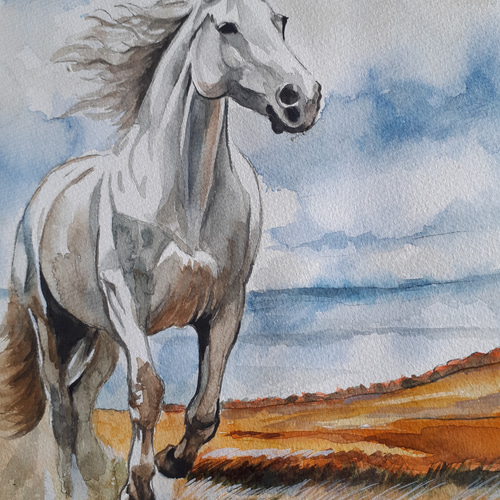 新発売】 白馬 草原 馬 水彩画 絵画 ぬる インテリア 美術 馬の