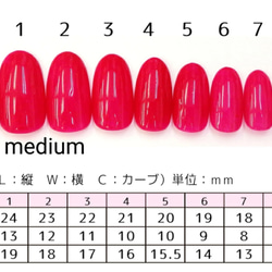  第4張的照片