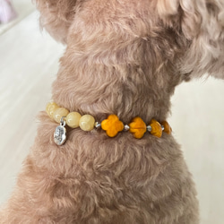 犬、猫、ペット用首輪　ネックレス  お花オレンジ×オレンジビーズ　内径約23センチ 10枚目の画像