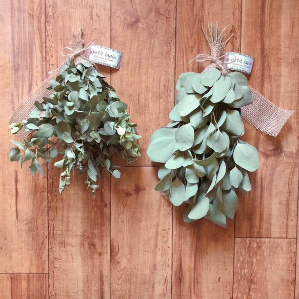 予約販売】ユーカリ スワッグ 34cm・25cm 2点セット ＊ユーカリポポ  