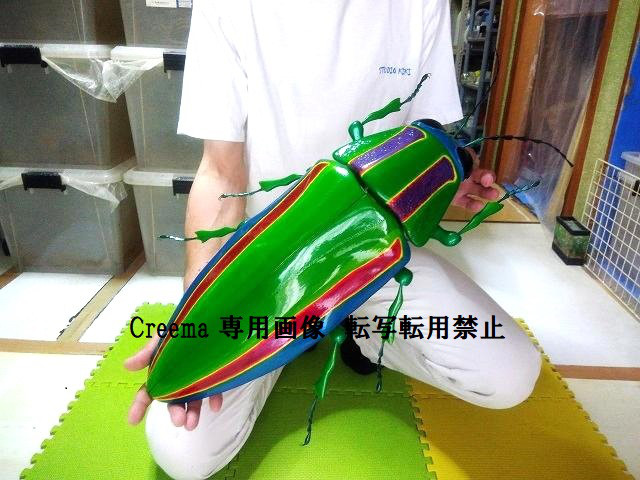 フィギュア 超大型 タマムシ MEGA フィギュア 超大型 タマムシ MEGA