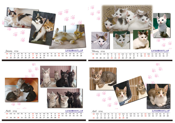 【残りわずか】＊2024年度　保護猫チャリティーカレンダー　エコリング卓上B6サイズ ♡49匹の子猫の写真満載♡ 2枚目の画像