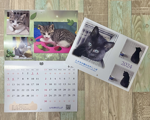 ねこページ 書泉ブックタワー｜秋葉原 on X: 