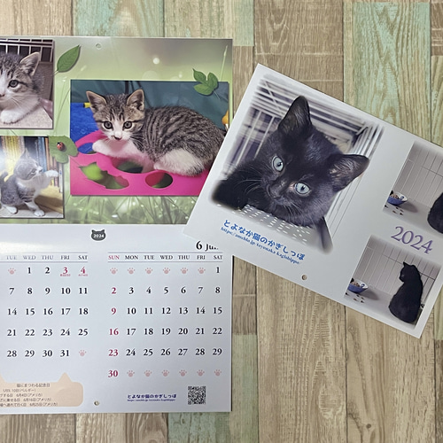 残りわずか】＊2024年度 保護猫チャリティーカレンダー 中とじA4