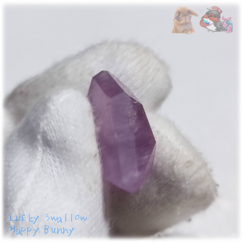 のほほん❤️ フラッフィーワンダーランドシリーズから『ほのの』の第2弾が登場です