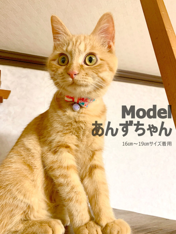 子猫ちゃん用はじめて首輪＊ポップなハートのあべこべリボン 5枚目の画像