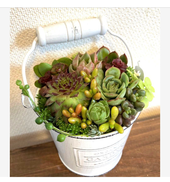 ♡そのまま飾れる♡ブリキ缶♬可愛い多肉植物寄せ植え