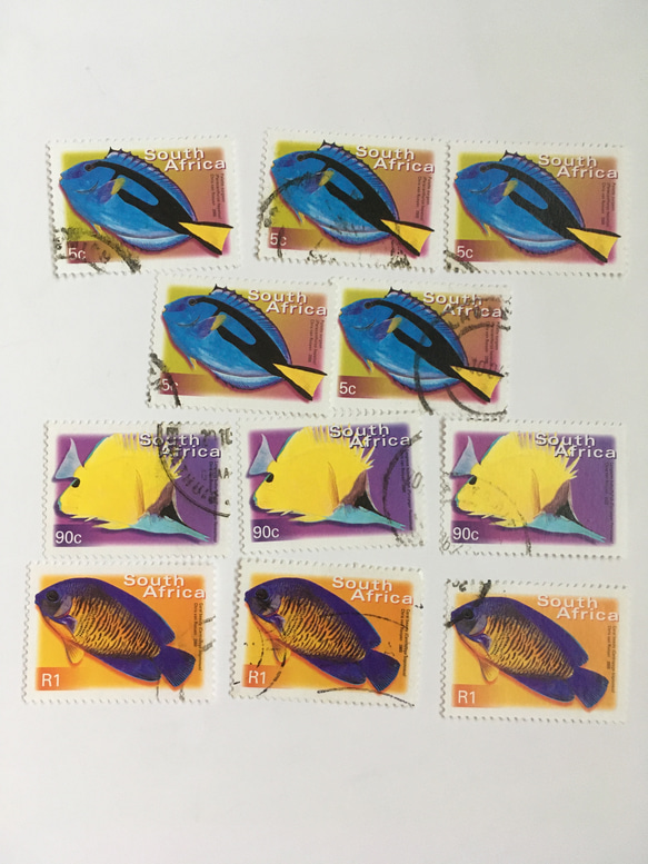 使用済切手  南アフリカ  熱帯魚11枚 1枚目の画像