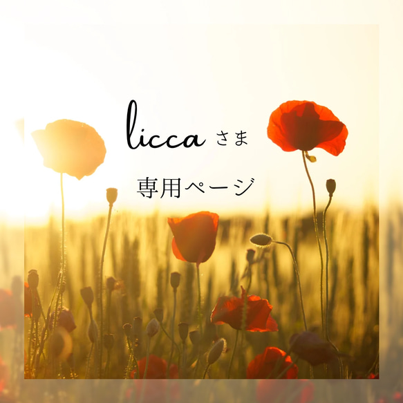 liccaさま専用ページ 1枚目の画像