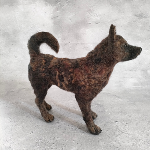 ✩小町　羊毛フェルト　犬　甲斐犬　シェットランドシープドッグ　ハンドメイド ✩小町 羊毛フェルト 犬 甲斐犬 シェットランドシープドッグ