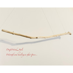 流木インテリア シンプルで真っすぐな大型流木のハンガーラック 北欧 衣装掛け ハンギング 吊り下げ ハンガーポール N5 7枚目の画像
