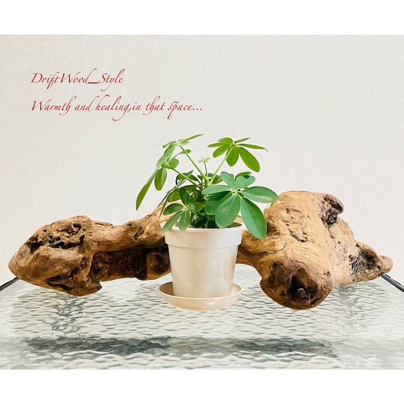 天然木コブ置物 飾り台付き