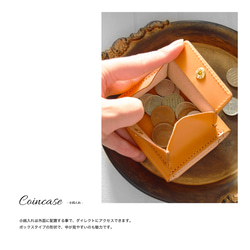 カード大容量 小さい鞄にも入るミニ財布 高級変革"Vono Aniline" キャメル コンパクト 13枚目の画像